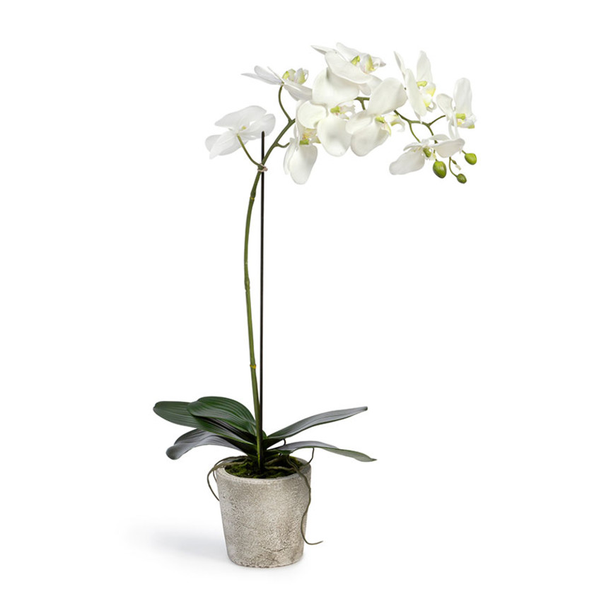 Faux Orchid Plant in Decorative Pot