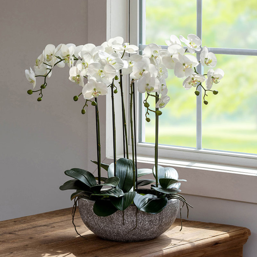 Faux Orchid Plant in Decorative Bowl,White