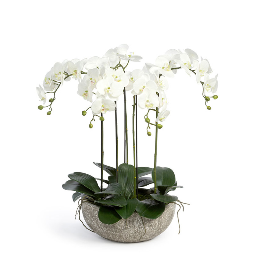 Faux Orchid Plant in Decorative Bowl