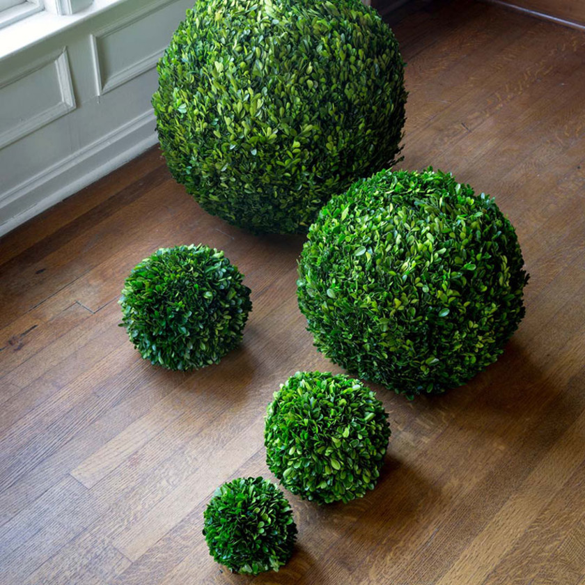 Preserved Boxwood Ball -  Green, 10",Green
