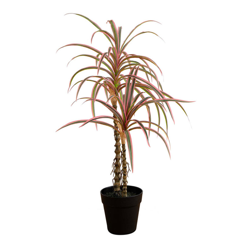 Faux Dracaena Marginata Plant