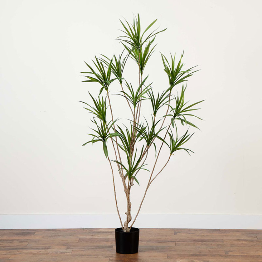 Faux Dracaena Tree -  Green, 6',Green