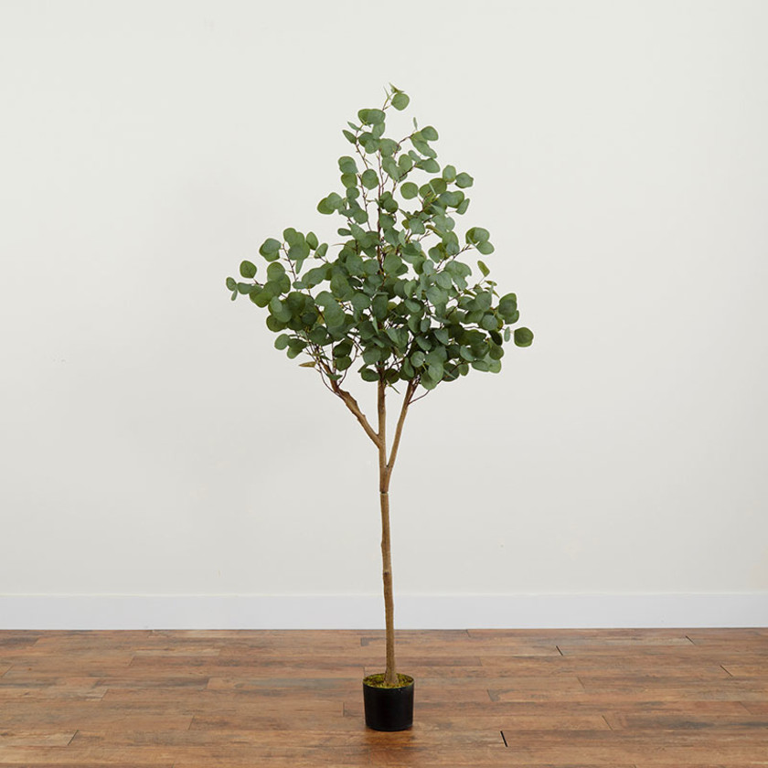 Faux Eucalyptus Tree -  Green, 6',Green