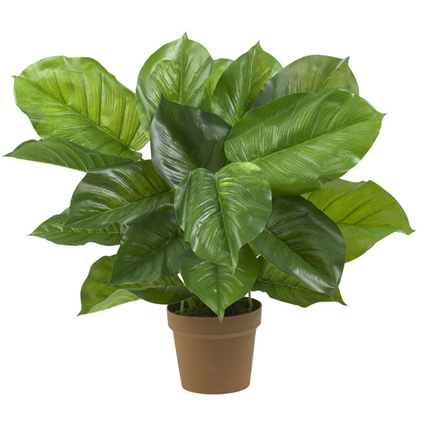 Faux Philodendron Silk Plant