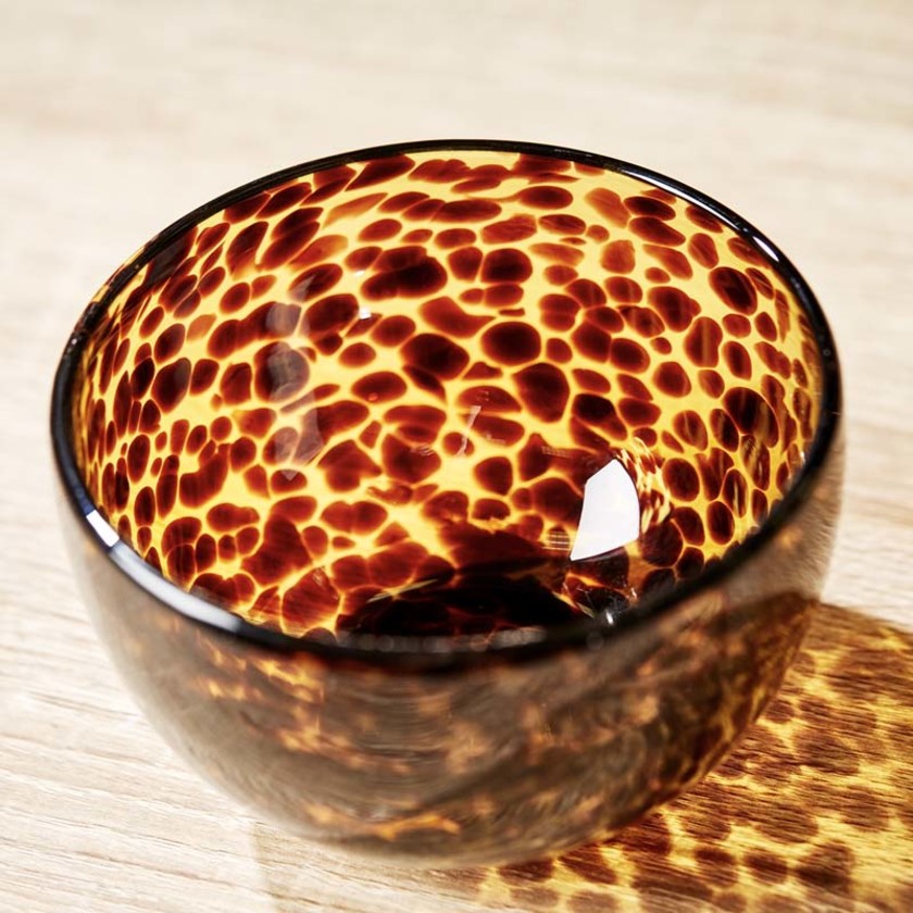 Tortoise Print Small Bowls, Set of 2