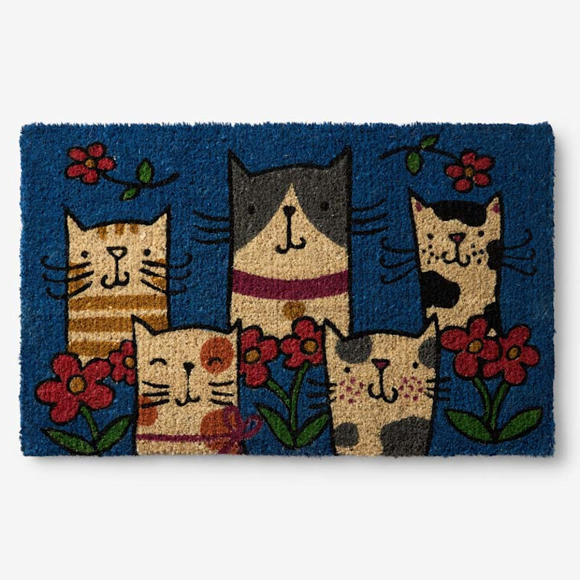 Summer Novelty Coir Doormat