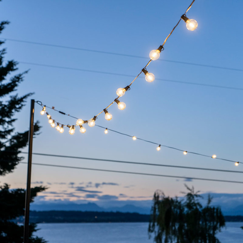 Bistro LED String Lights - Black, 25',Black