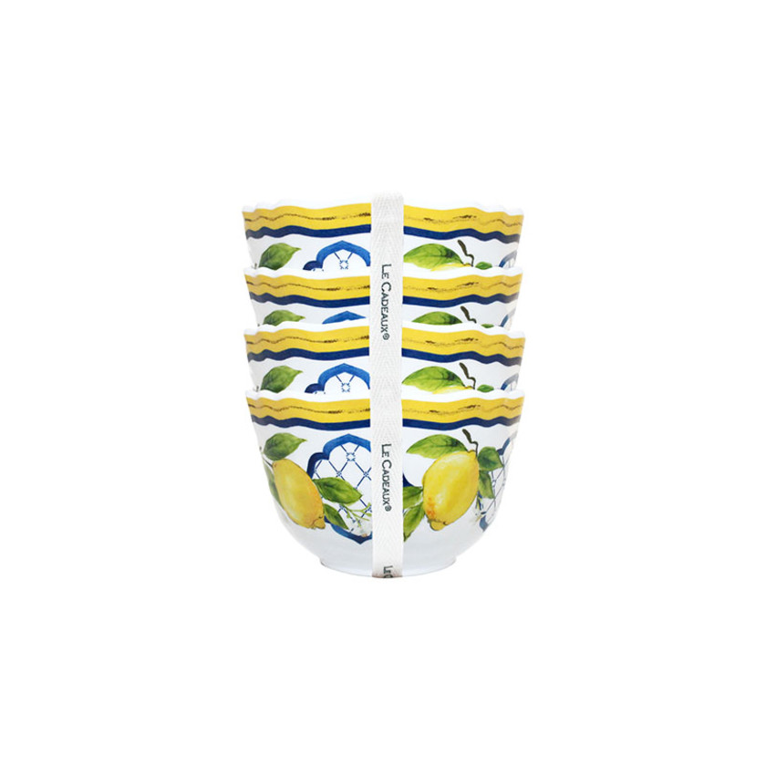 Citrus Melamine 4-Piece Dinnerware Sets