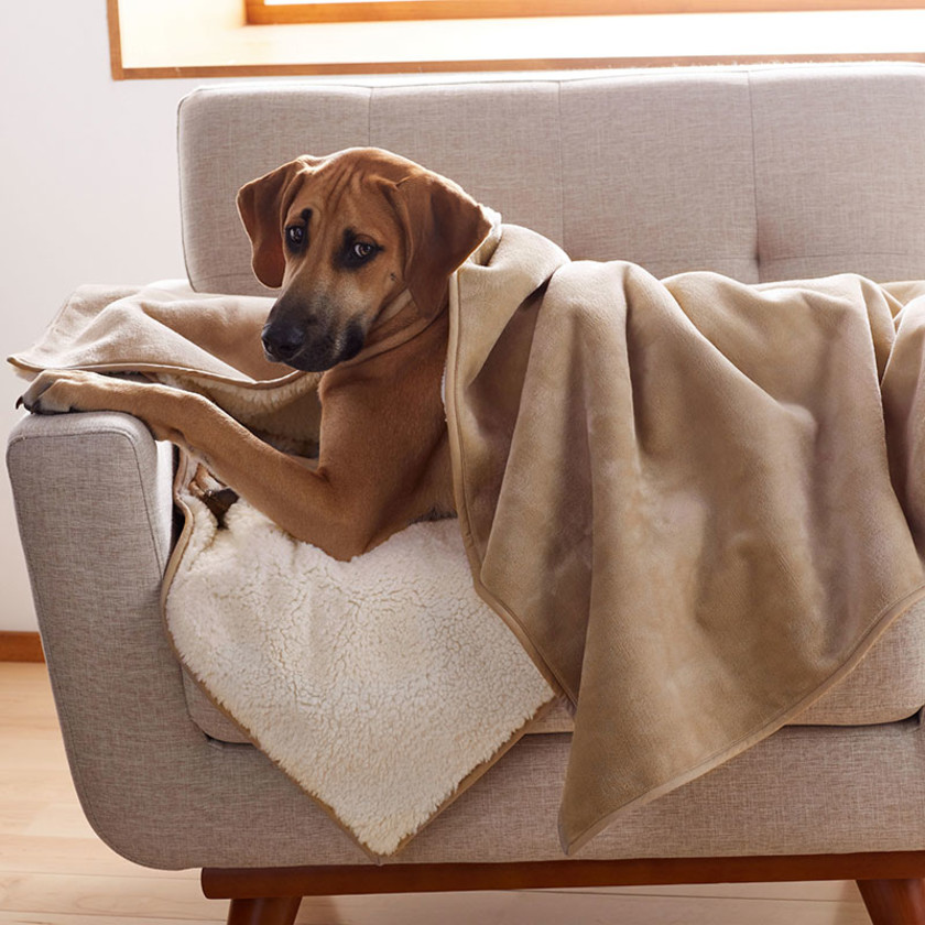 Sherpa Waterproof Pet Blanket
