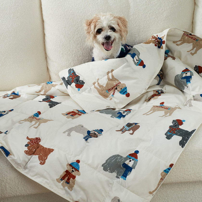 Dog down blanket new arrivals