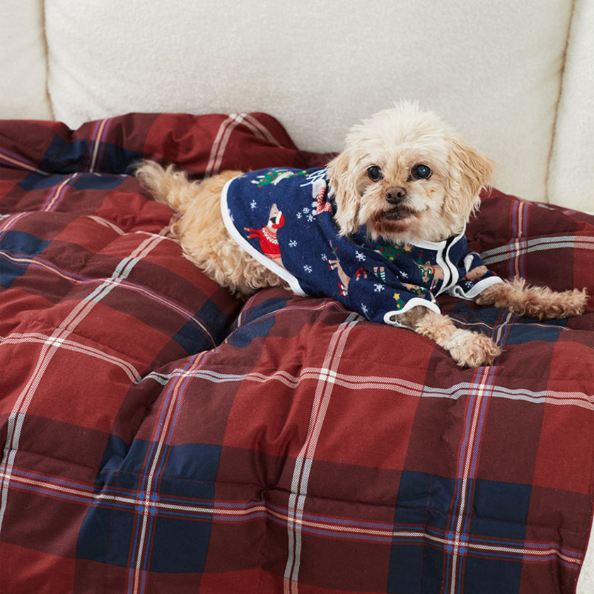 LoftAIRE™ Holiday Printed Dog Comforter - Scotch Plaid, S/M,Scotch Plaid