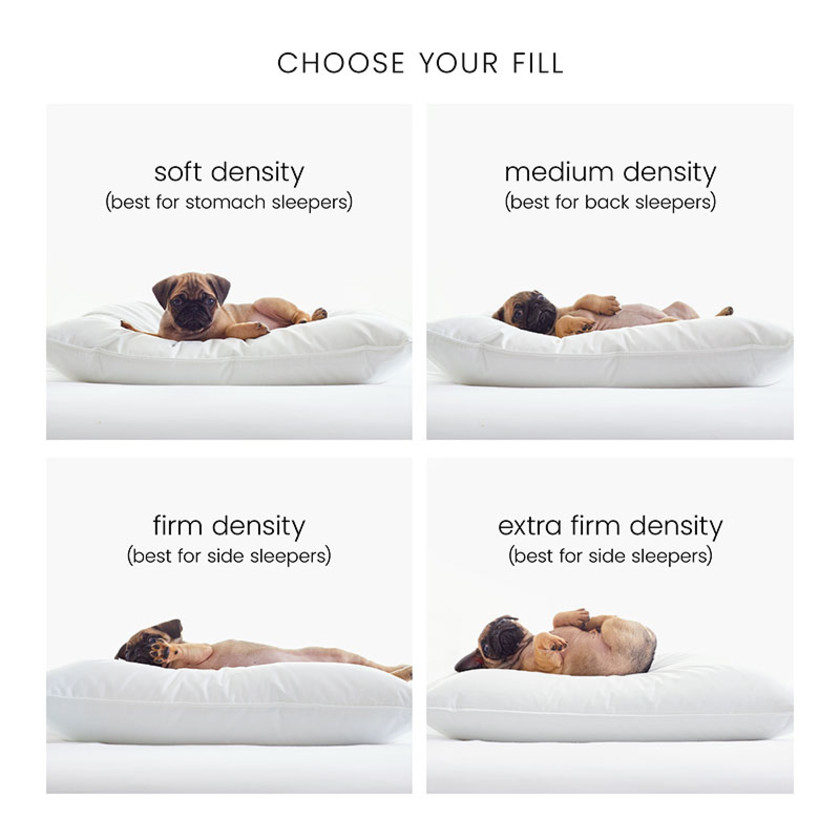 Best Down Pillow - Soft, Standard