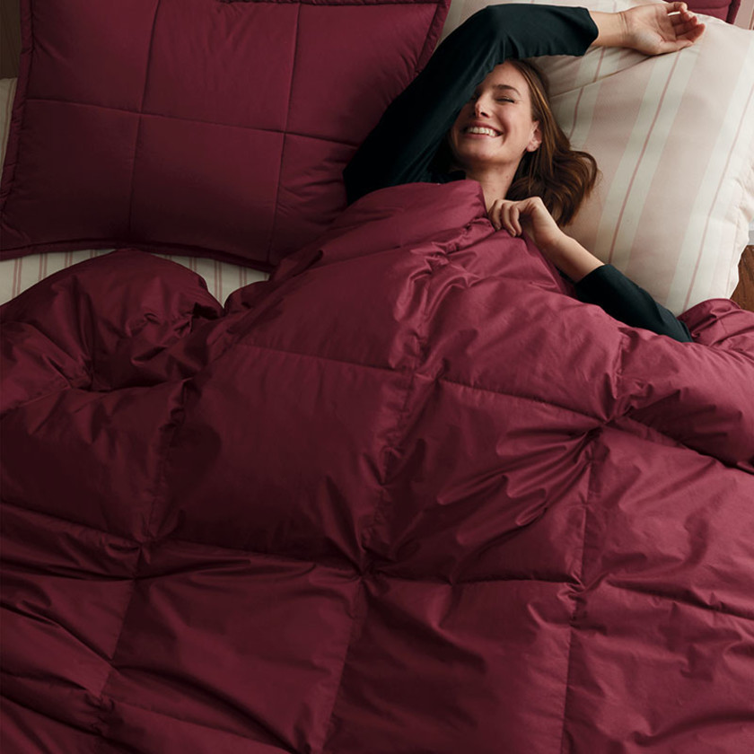 Premium Down Ultra Warmth Comforter - Merlot, Twin,Merlot