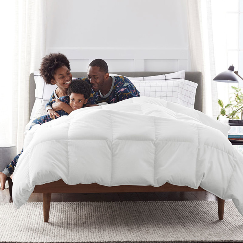 Premium LoftAIRE Ultra™ Alberta Down Alternative Light Warmth Comforter - White, Twin/Twin XL,White