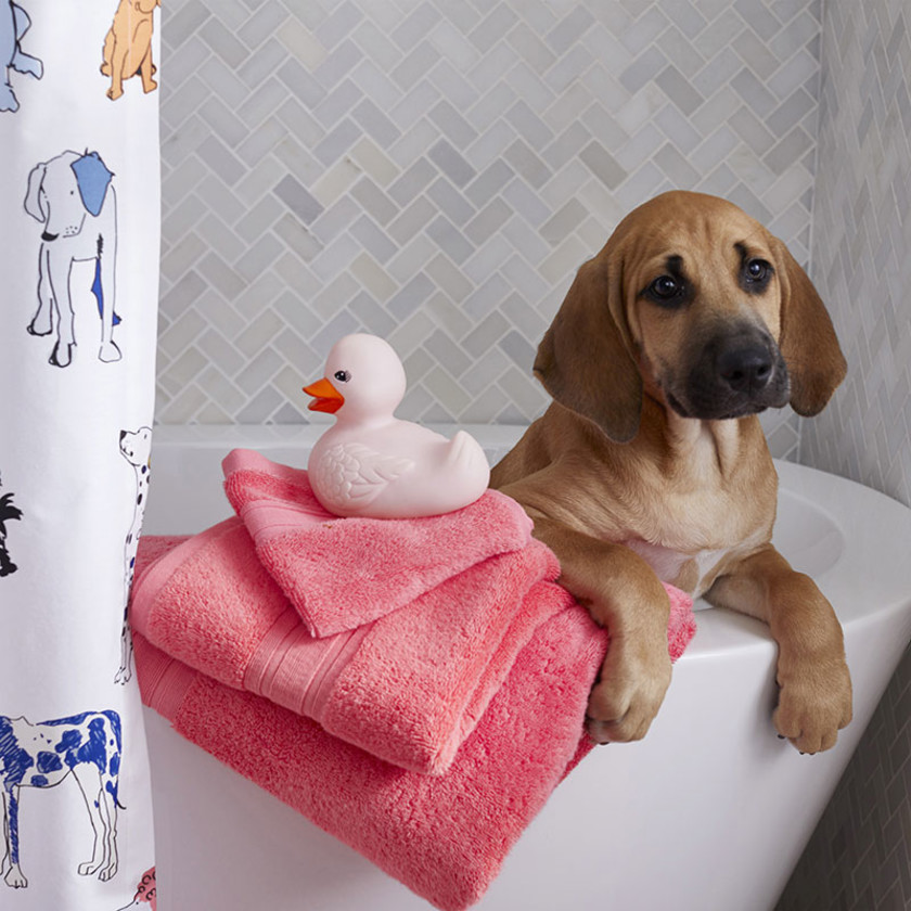 Turkish Cotton 6-Piece Bath Set - Coral,Coral