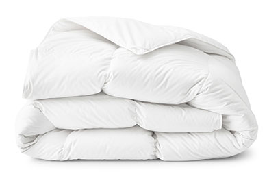 Shop Comforters at The Company Store
