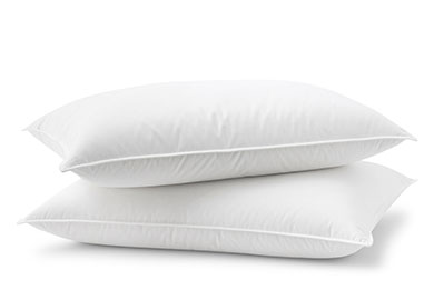 Shop Pillows at The Company Store