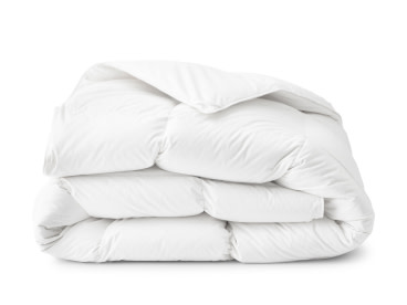 Shop Summer Sale Comforters at The Company Store