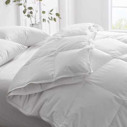 Premium 3-in-1 Down Comforter - White, Twin