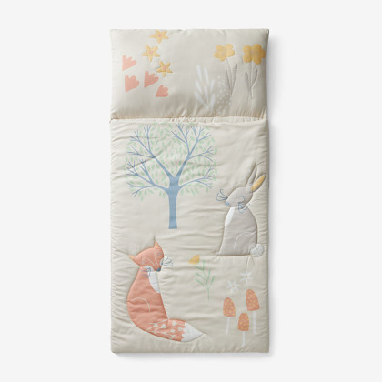 Character sleeping bags online