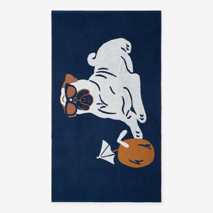 Cotton Terry Beach Towel