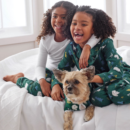 The Company Store Company Cotton Family Flannel Chalet Plaid Women's Medium  Green/Navy Long Sleeve Pajama Short Set 60012B-M-GRNNAVY - The Home Depot