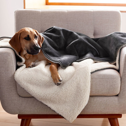 Sherpa Waterproof Pet Blanket