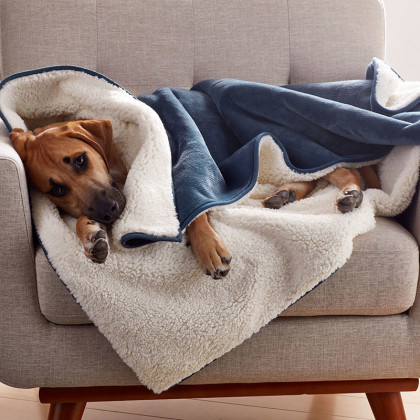 Sherpa Waterproof Pet Blanket