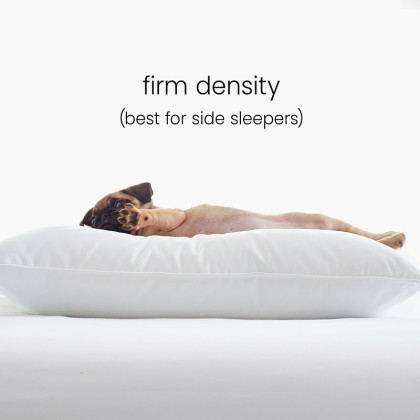 Down and Wool Pillow - White