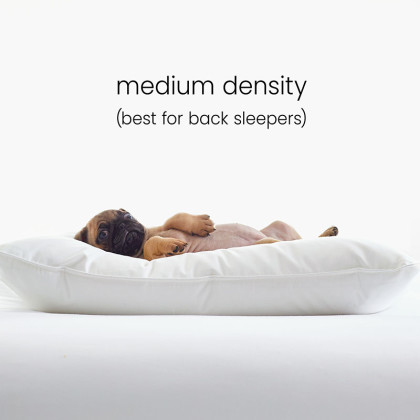 Alberta Down Alternative Medium Back Sleeper Pillow - Standard