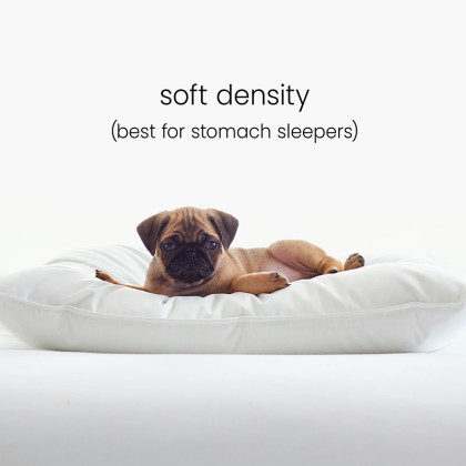 Alberta Down Alternative Soft Stomach Sleeper Pillow - King