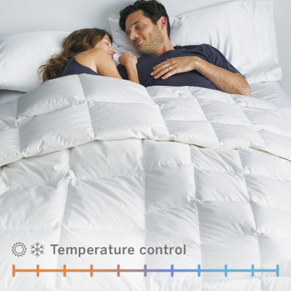 Premium Down Light To Medium Warmth Comforter - White, Queen