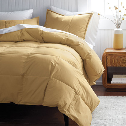 Premium Down Medium Warmth Comforter - Butterscotch, Full