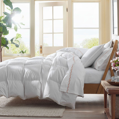 Premium Down Light Warmth Comforter - White, Queen