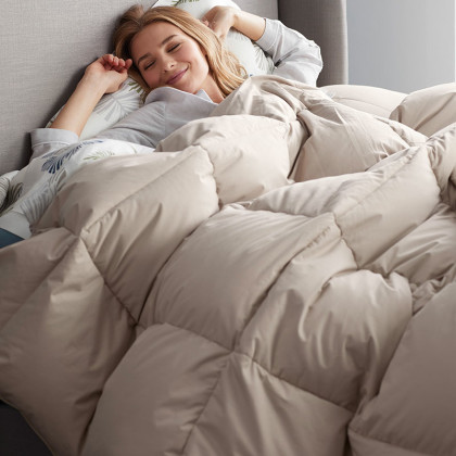 Premium LoftAIRE™ Down Alternative Light Warmth Comforter - Feather Tan, Full