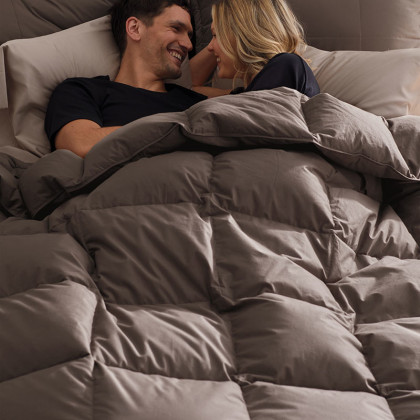 Premium LoftAIRE™ Down Alternative Extra Warmth Comforter - Sepia, Twin
