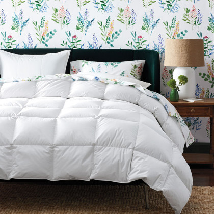 Premium LoftAIRE™ Down Alternative Light Warmth Comforter - White, Queen