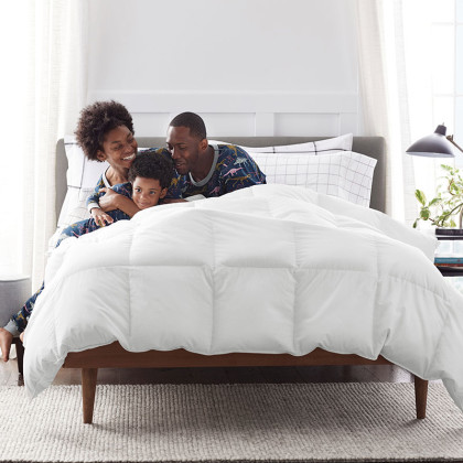 Premium Alberta Down Medium Warmth Comforter - White, Twin/Twin XL