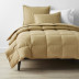 Premium Down Light Warmth Comforter - Butterscotch, Twin