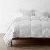 Premium 3-in-1 Down Comforter - White, Twin