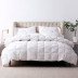 Premium Down Light To Medium Warmth Comforter - White, Queen