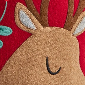 Reindeer