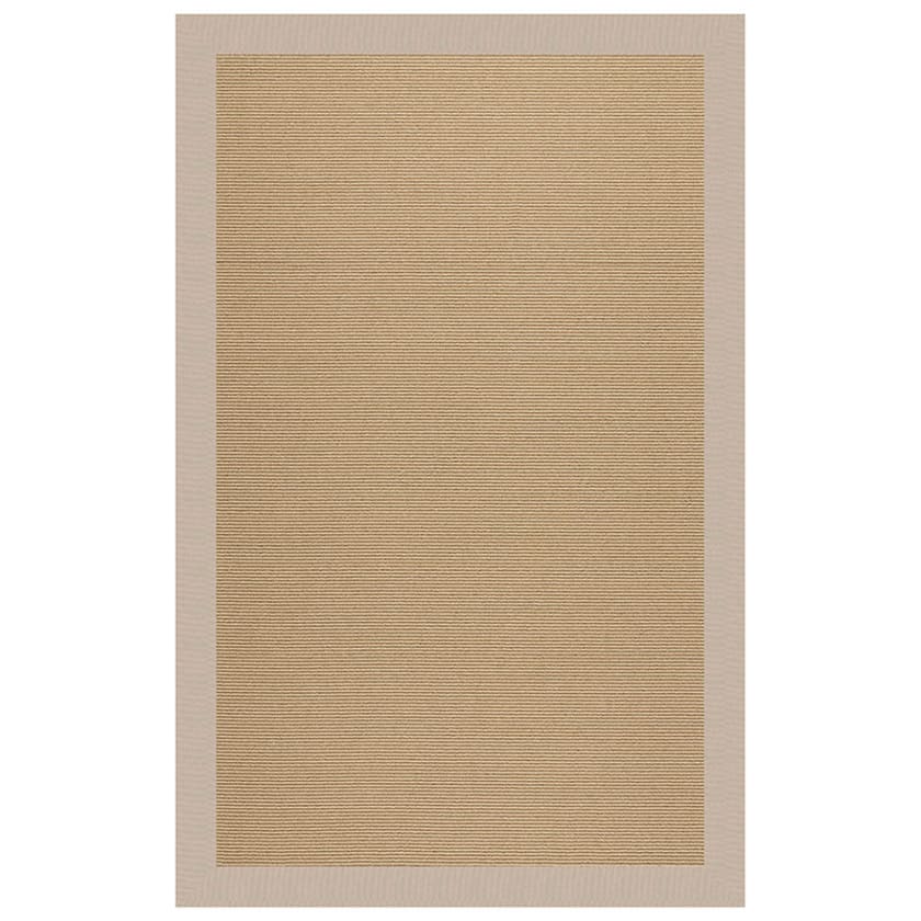 Sisal Canvas Bordered Rug