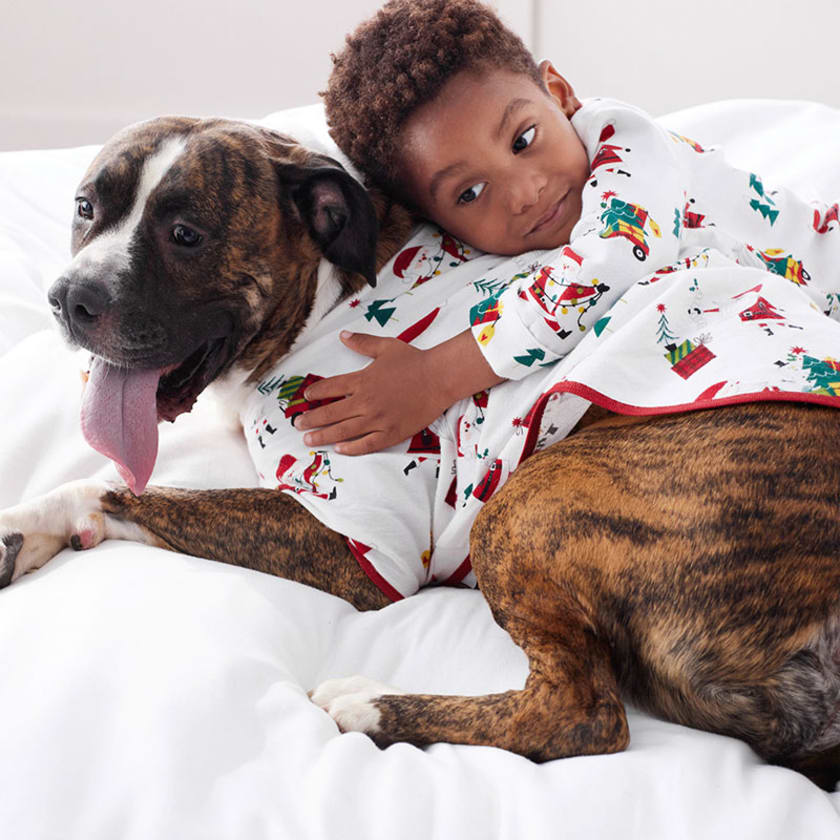 Family Flannel Dog Pajamas - Santa, XS