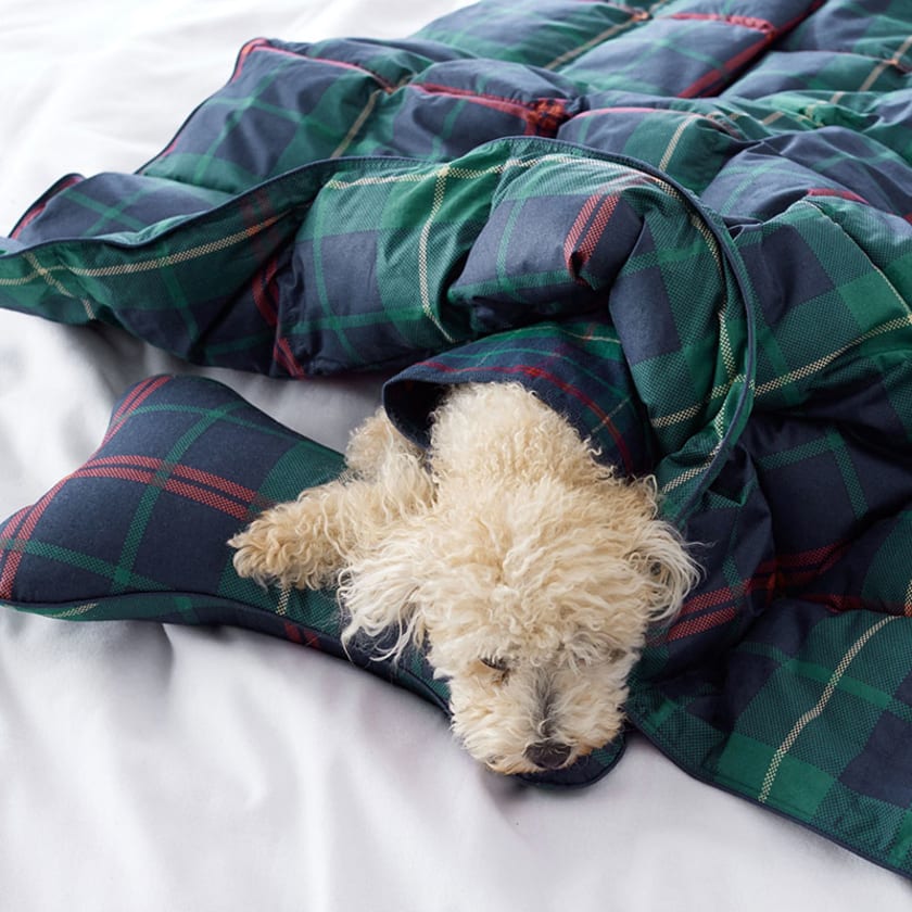 Pet Bone Pillow - Holiday Plaid