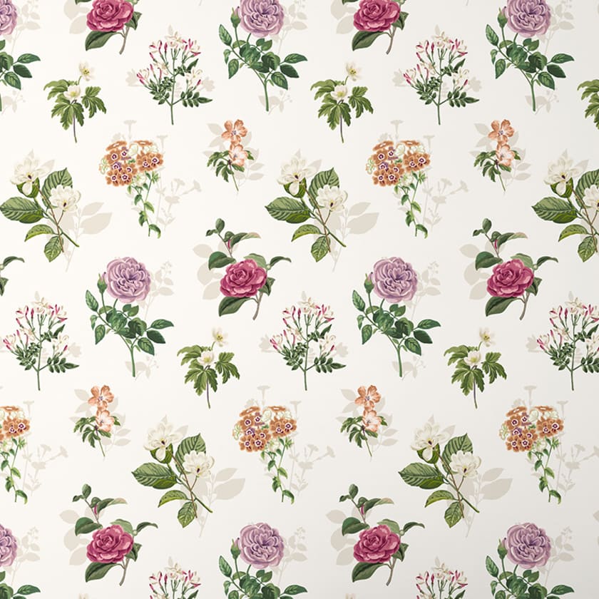 Wallpaper Swatch - Cameilla Floral