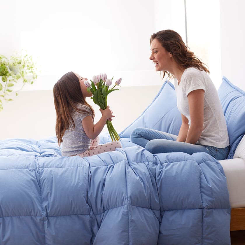 Premium LoftAIRE™ Down Alternative Light Warmth Comforter - Porcelain Blue, Queen