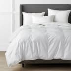 Premium LoftAIRE Ultra™ Alberta Down Alternative Light Warmth Comforter - White, Twin