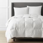 Premium Down and Wool Comforter - White, Twin