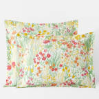 Paige Floral Classic Cool Cotton Percale Sham - Beige Multi, King